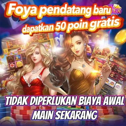 255BET 255BET